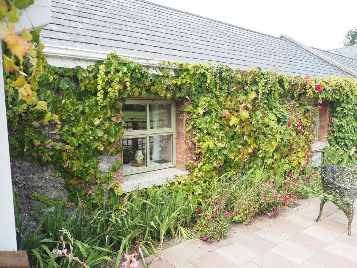 Coolanowle Self Catering Holiday Accommodation كارلو المظهر الخارجي الصورة