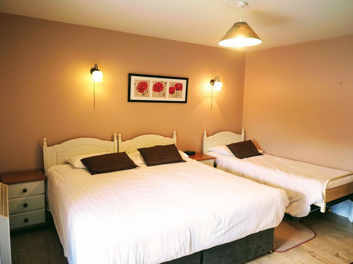 Coolanowle Self Catering Holiday Accommodation كارلو المظهر الخارجي الصورة